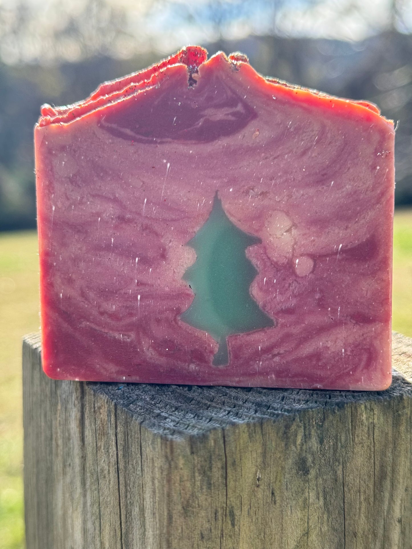 Spruce & Magic