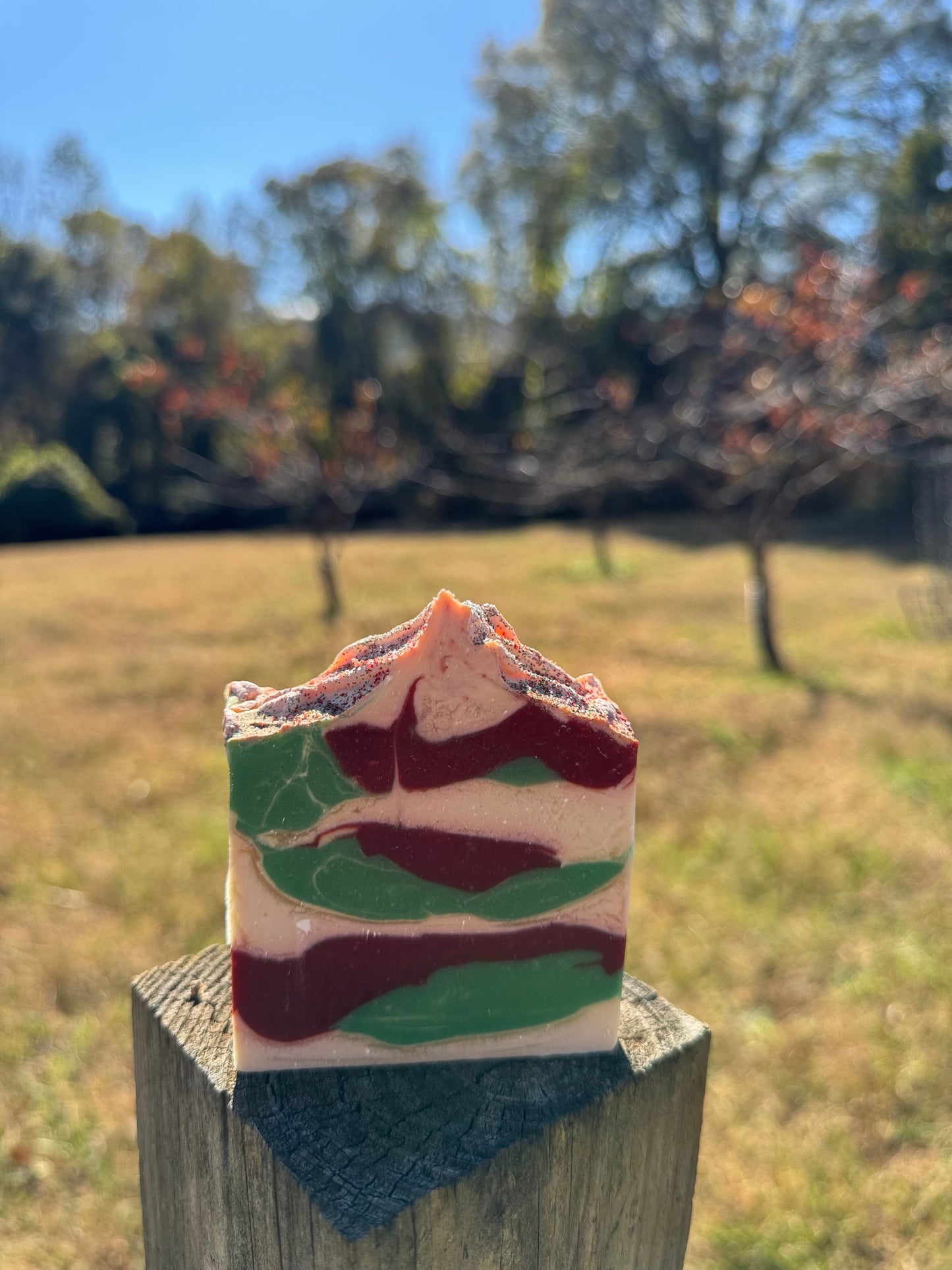 Holiday Soap Gift Set